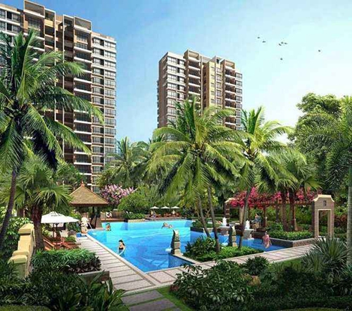 三亚“候鸟”戳穿谎言 三亚“候鸟”戳穿谎言