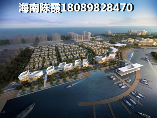 2023万宁石梅湾买房限购吗，海南的房子究竟能不能生纸？