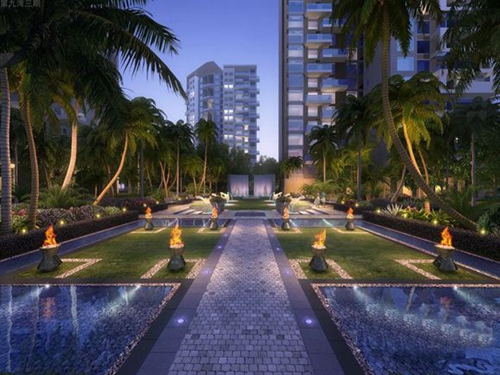 东北人后悔海南自贸区没买房！